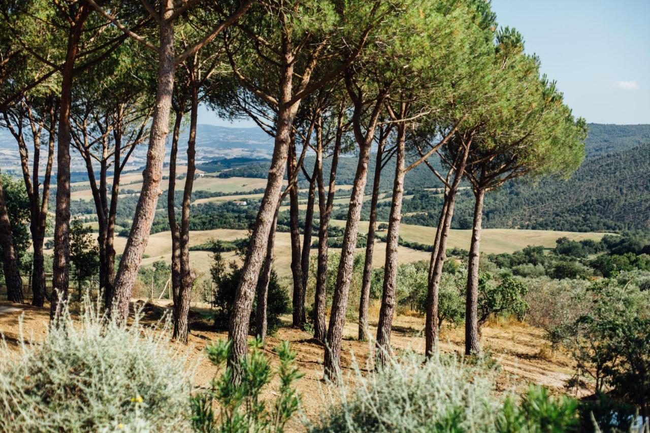 Fontemarinaalta Casa vacanze Montorsaio
