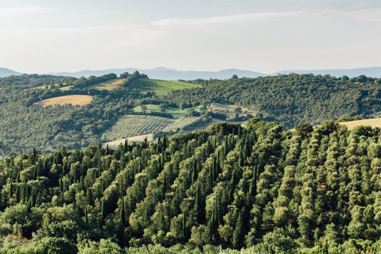 Fontemarinaalta Montorsaio